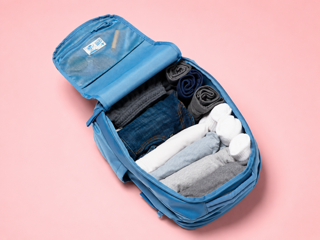 Jansport Travel Backpack