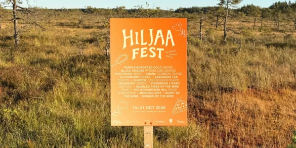 Quietchella Finland at Valkmusa National Park